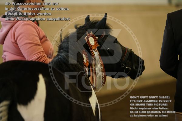 s_K3F04754.jpg